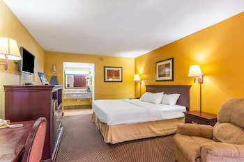 Room, 1 King Bed, Non Smoking