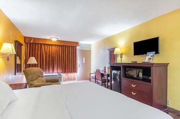Room, 1 King Bed, Non Smoking