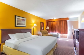 Room, 1 King Bed, Non Smoking