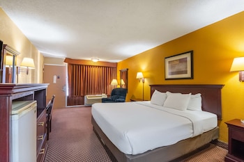 Room, 1 King Bed, Smoking