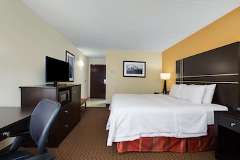 Room, 1 King Bed