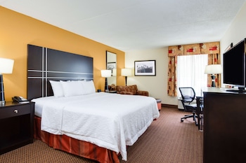 Room, 1 King Bed
