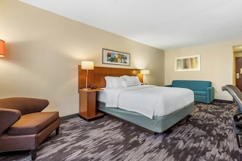 Room, 1 Queen Bed (Mobility/Hearing Access, Roll-in Shwr)