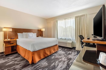 Room, 1 Queen Bed (Mobility Accessible, Tub)