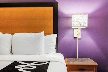 1 King Bed, Accessible Room, Pet-Friendly, Non-Smoking