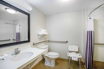 1 King Bed, Accessible Room, Pet-Friendly, Non-Smoking