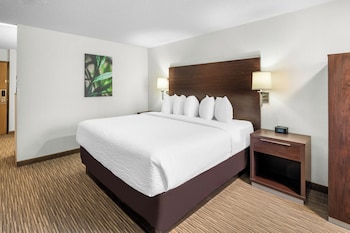 Standard Room, 1 King Bed