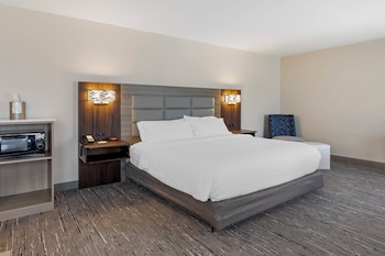 Studio Suite, 1 King Bed with Sofa bed