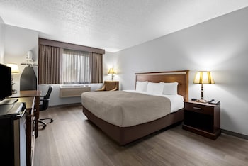 Standard Room, 1 King Bed, Non Smoking