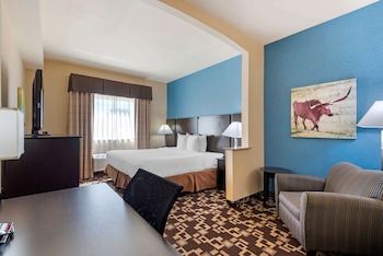 Standard Room, 1 King Bed, Non Smoking, Jetted Tub (with Single Sofabed)