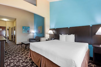 Standard Room, 1 King Bed, Non Smoking, Jetted Tub (with Single Sofabed)