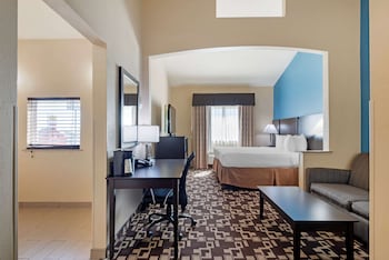Standard Room, 1 King Bed, Accessible, Jetted Tub (with Single Sofabed)