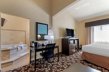 Standard Room, 1 King Bed, Non Smoking, Jetted Tub (with Single Sofabed)