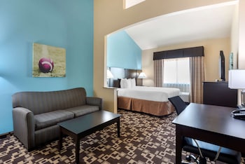 Standard Room, 1 King Bed, Accessible, Jetted Tub (with Single Sofabed)