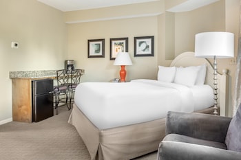 1 QUEEN BED WITH MINI FRIDGE