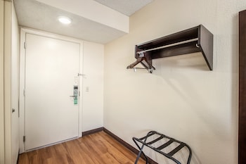 Deluxe Room, 1 Double Bed, Accessible, Non Smoking (Roll-In Shower)