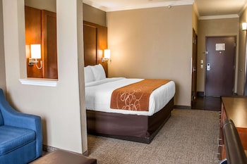 Suite, 1 King Bed with Sofa bed, Non Smoking