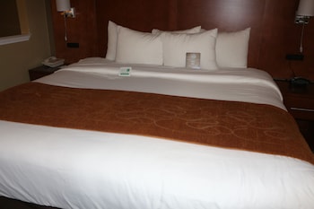 Suite, 1 King Bed with Sofa bed, Non Smoking