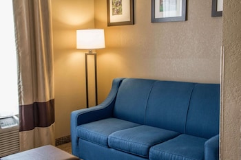 Suite, 1 King Bed with Sofa bed, Accessible, Non Smoking