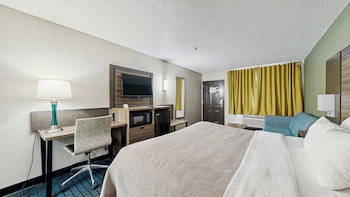 Room, 1 King Bed, Non Smoking (Efficiency)