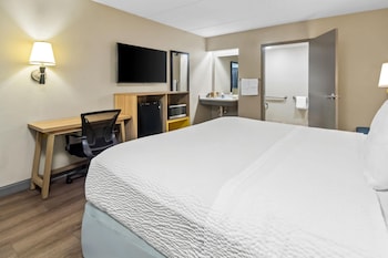 Room, 1 King Bed, Accessible, Non Smoking (Mobility/Hearing,roll-in shwr)