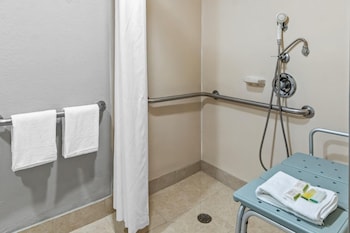Room, 1 King Bed, Accessible, Non Smoking (Mobility/Hearing,roll-in shwr)