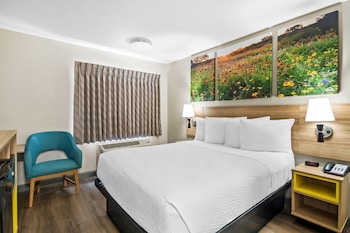 Room, 1 Queen Bed, Accessible, Non Smoking (Mobility/Hearing,roll-in shwr)