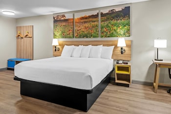 Suite, 1 King Bed