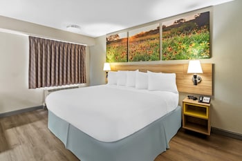 Room, 1 King Bed, Accessible, Non Smoking (Mobility/Hearing, tub w/grab bars)