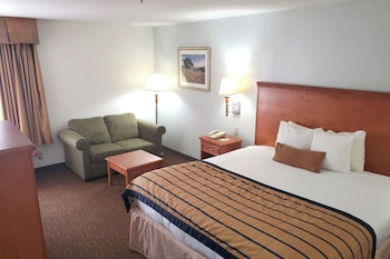 Room, 1 King Bed, Non Smoking
