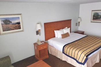 Room, 1 King Bed, Non Smoking