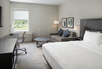 Standard Room, 1 King Bed with Sofa bed