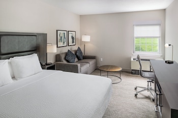 Standard Room, 1 King Bed with Sofa bed, Accessible Bathtub (Mobility Accessible)