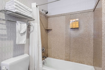 Suite, 1 King Bed, Non Smoking, Refrigerator & Microwave (with Sofabed)