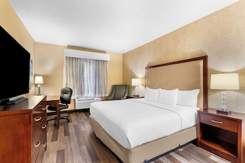 Standard Room, 1 King Bed, Non Smoking, Refrigerator & Microwave (1st Floor;Pet Friendly)