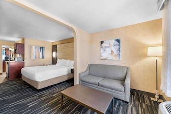 Suite, 1 King Bed, Non Smoking, Refrigerator & Microwave
