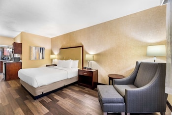 Standard Room, 1 King Bed, Non Smoking, Refrigerator & Microwave (1st Floor;Pet Friendly)