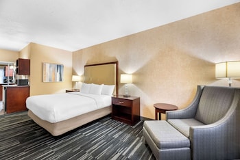 Standard Room, 1 King Bed, Non Smoking, Refrigerator & Microwave