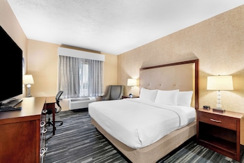 Standard Room, 1 King Bed, Non Smoking, Refrigerator & Microwave