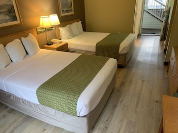 Double Room, 2 Double Beds
