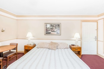 Suite, 1 King Bed