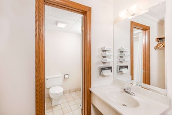 Suite, 1 King Bed