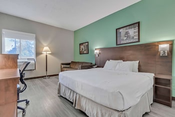 King Room Accessible Mobility Access - Non-Smoking - Ground Floor