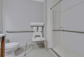 King Room Accessible Roll-In Shower - Non-Smoking - Ground Floor