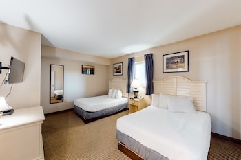 Suite, 3 Bedrooms