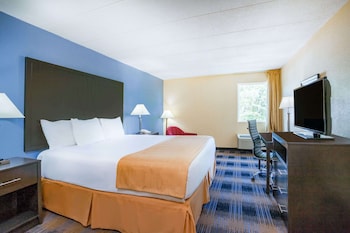Room, 1 King Bed, Non Smoking