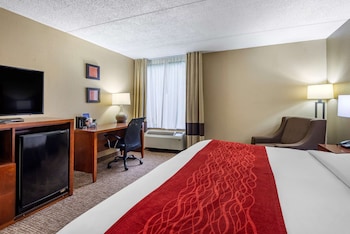 Room, 1 King Bed, Accessible, Non Smoking