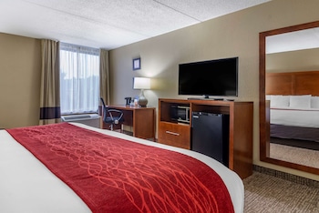Standard Room, 1 King Bed, Non Smoking