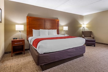 Standard Room, 1 King Bed, Non Smoking