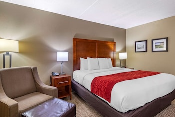 Room, 1 King Bed, Accessible, Non Smoking